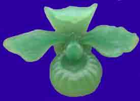 Picture of Cypripedium Reginae Orchid Wax Carving