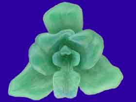 Picture of Lycaste Graham Orchid Wax Carving